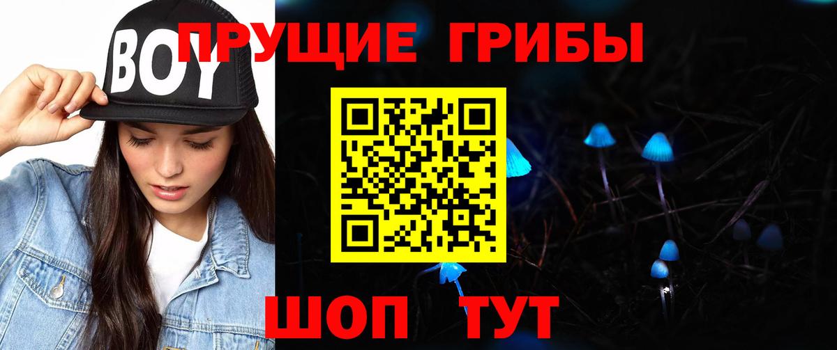 Галлюциногенные грибы мицелий  Галлюциногенные грибы GOLDEN TEACHER  Вход с VPN  Зеленогорск 